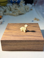 Stegosaurus fossil wigget