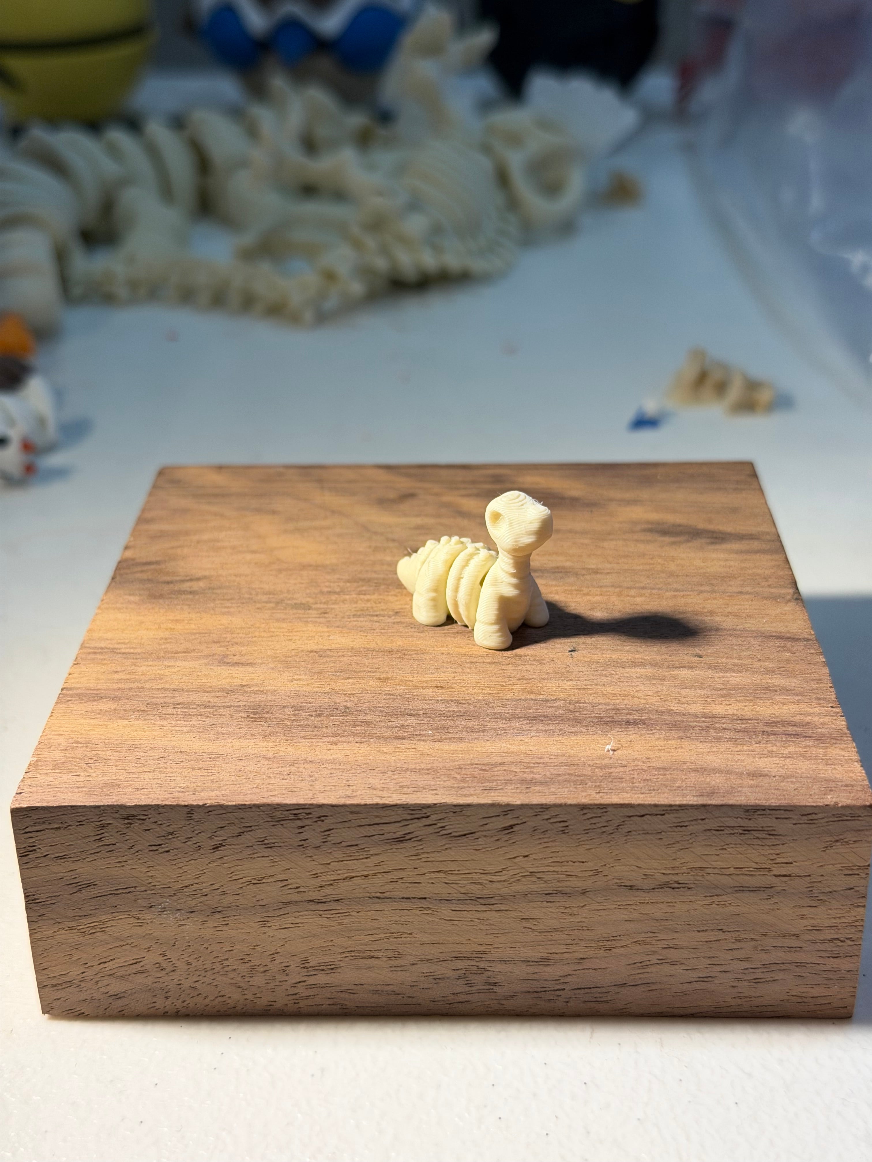 Stegosaurus fossil wigget