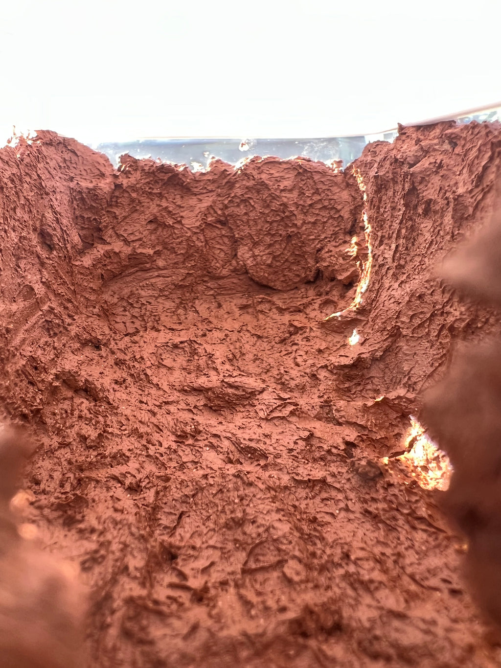 Calcium clay enclosure | Springtails culture