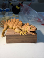 Sailfin Dragon Flexi