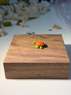 Turtle wigget