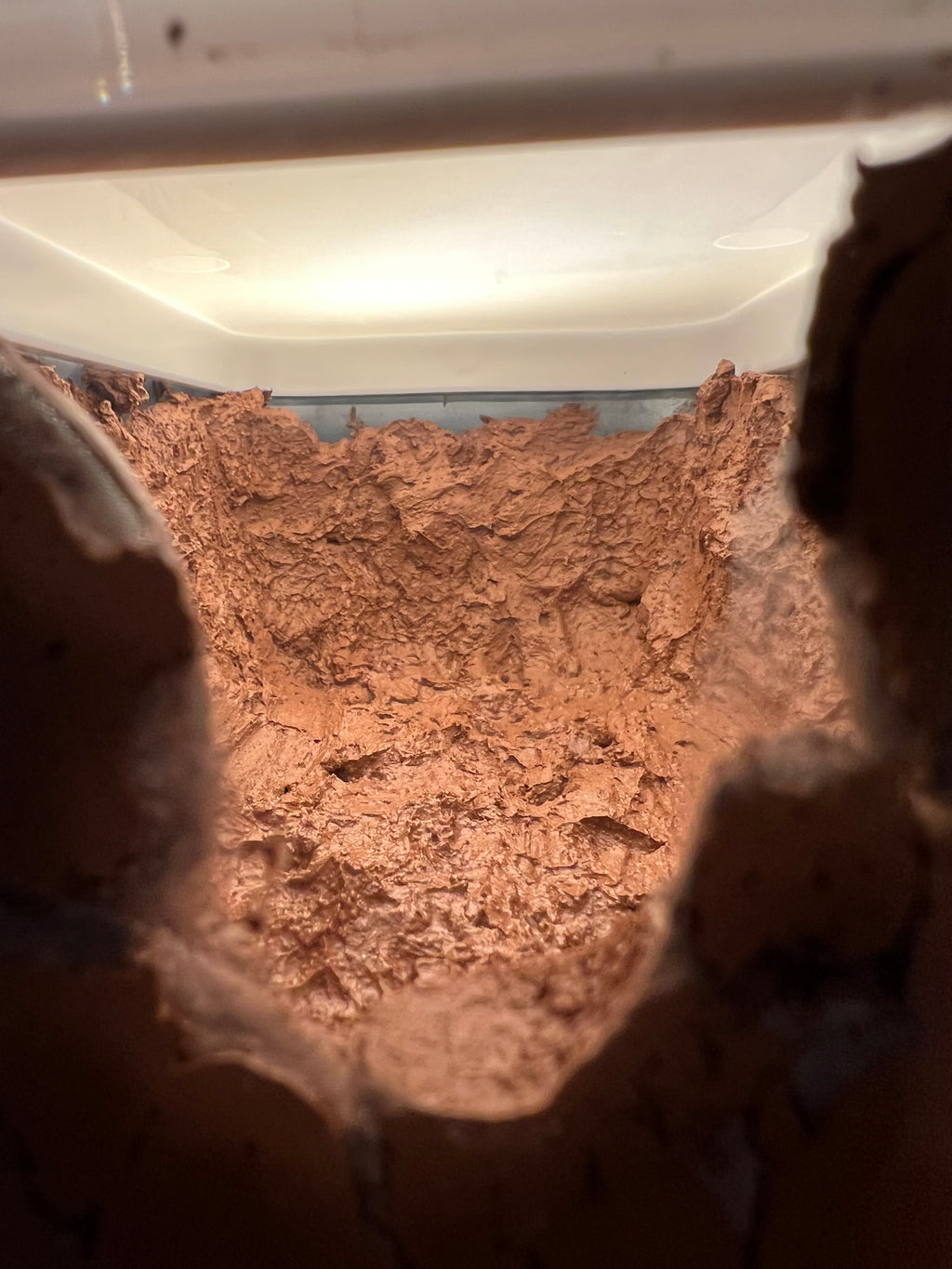 Calcium clay enclosure | Springtails culture