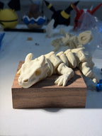 Dragon fossil
