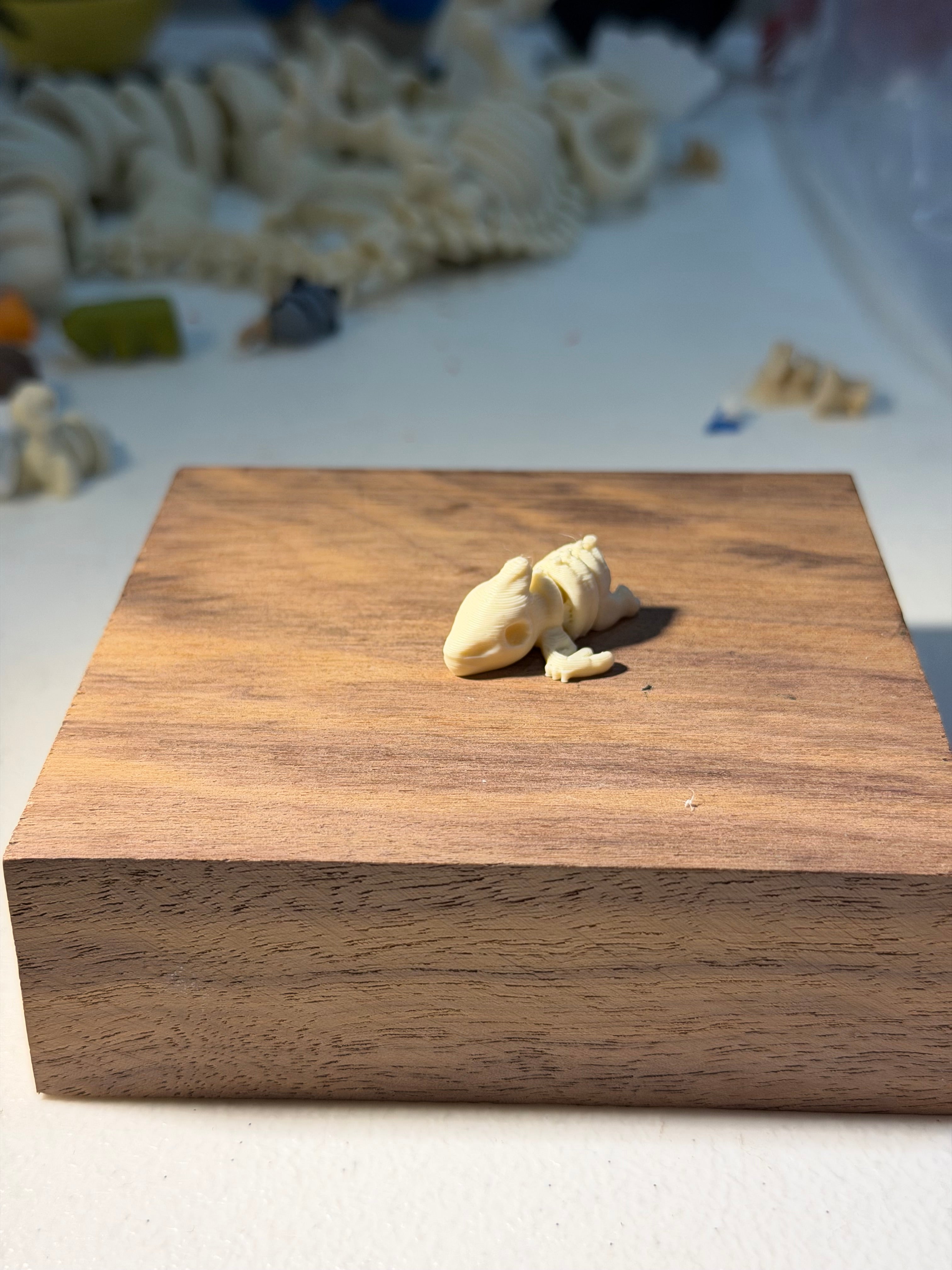 Pterodactyl fossil wigget