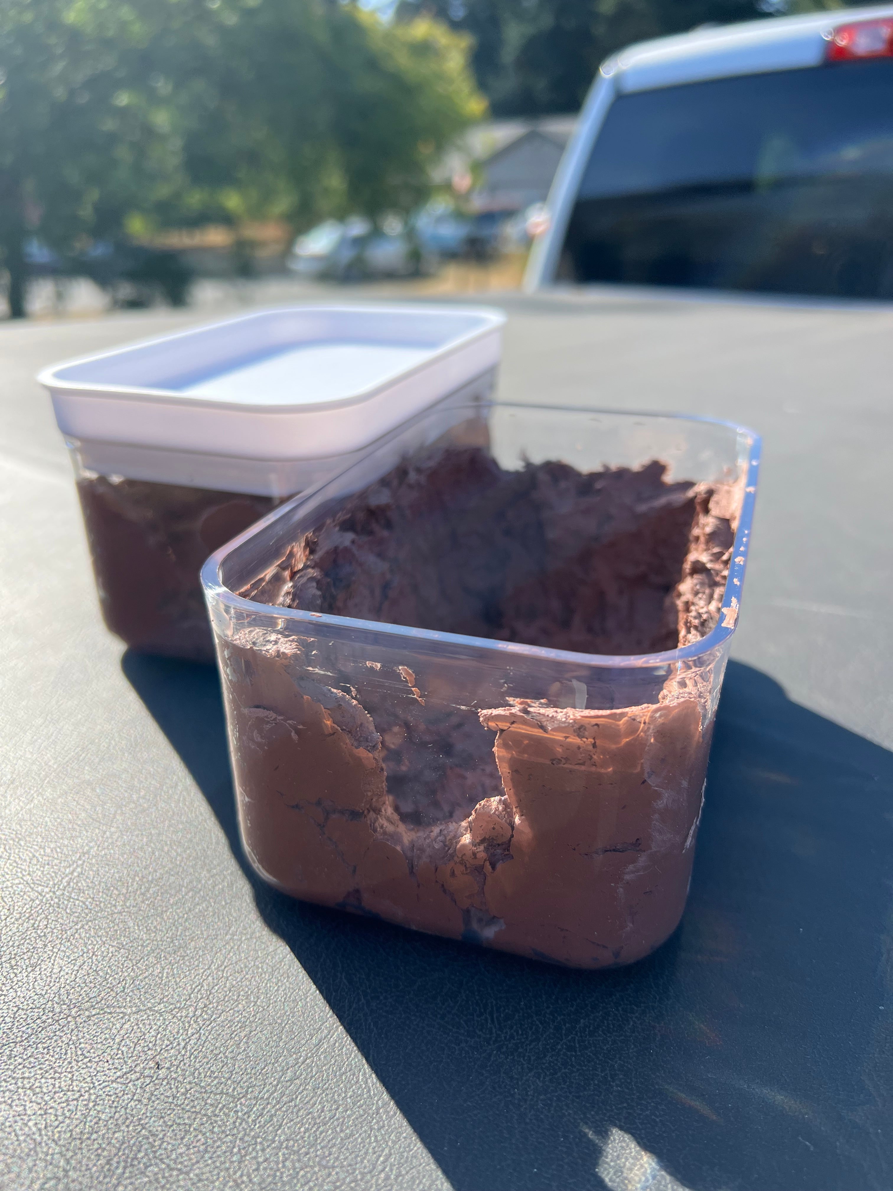 Calcium clay enclosure | Springtails culture