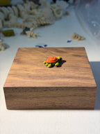 Turtle wigget