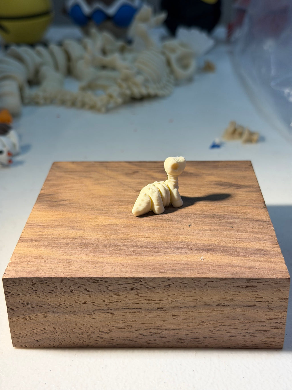 Stegosaurus fossil wigget