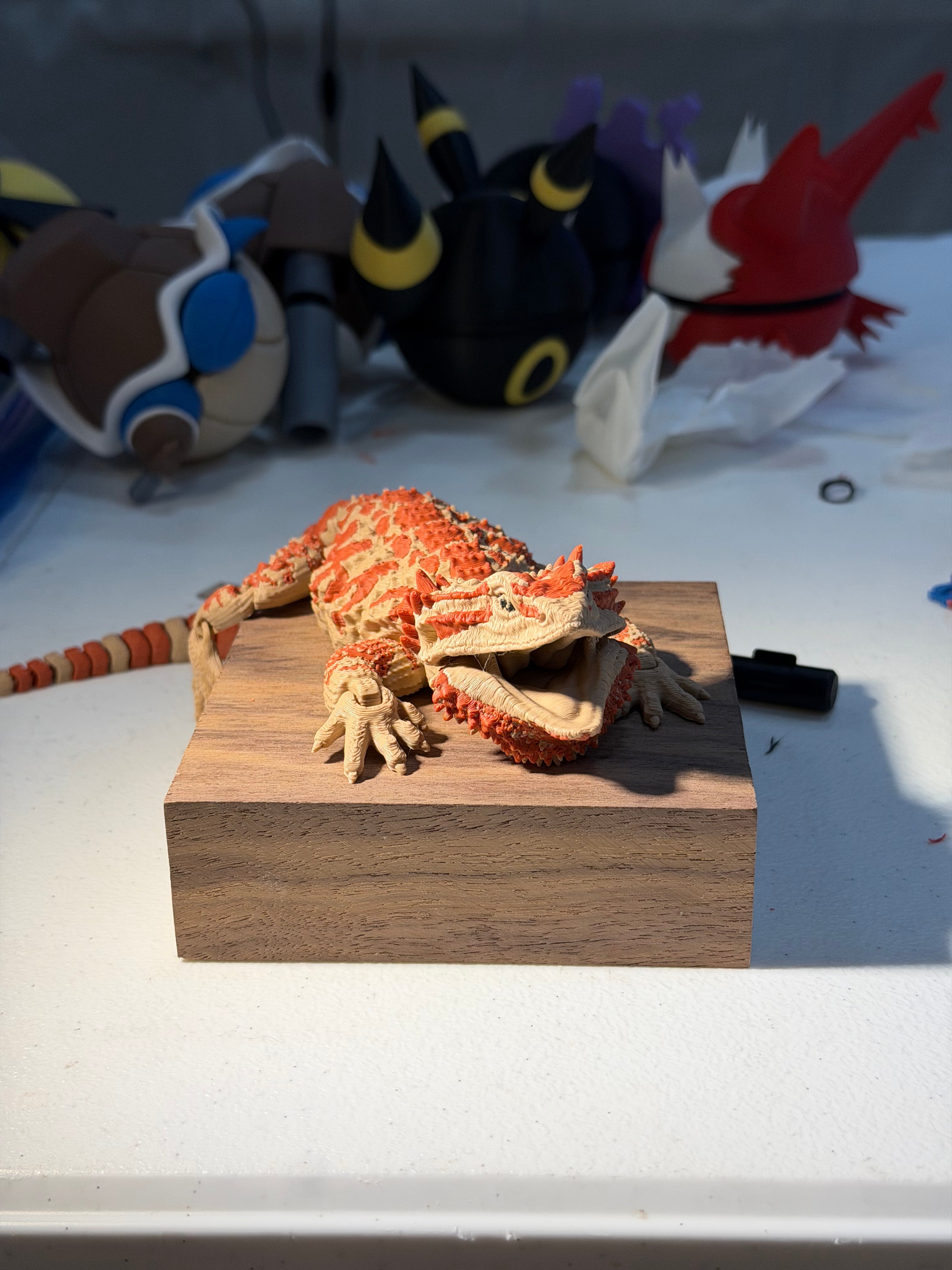 bearded dragon