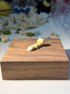 Gecko wigget