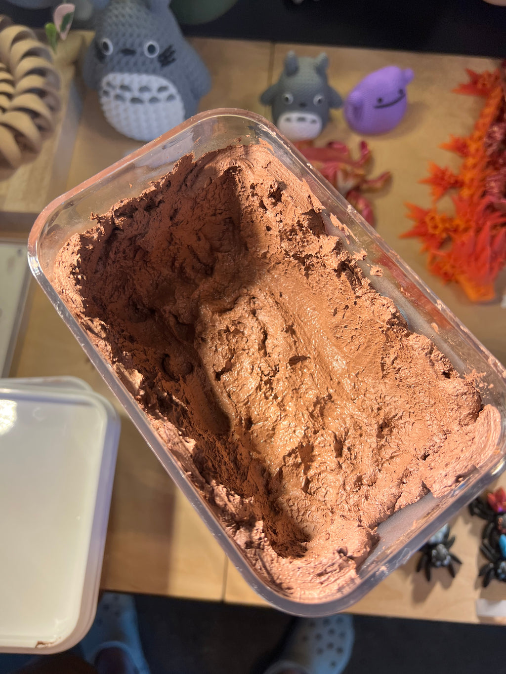 Calcium clay enclosure | Springtails culture