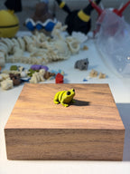 Frog wigget