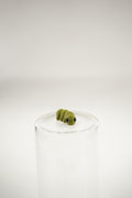 Caterpillar wigget