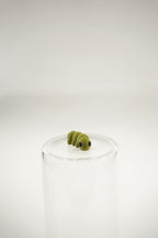 Caterpillar wigget