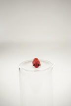 Caterpillar wigget