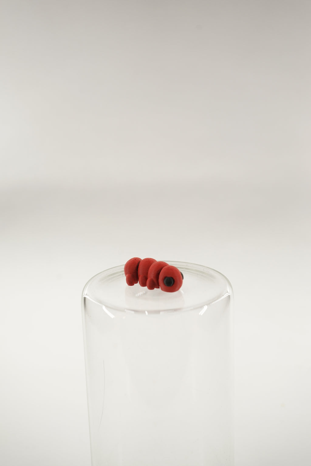 Caterpillar wigget