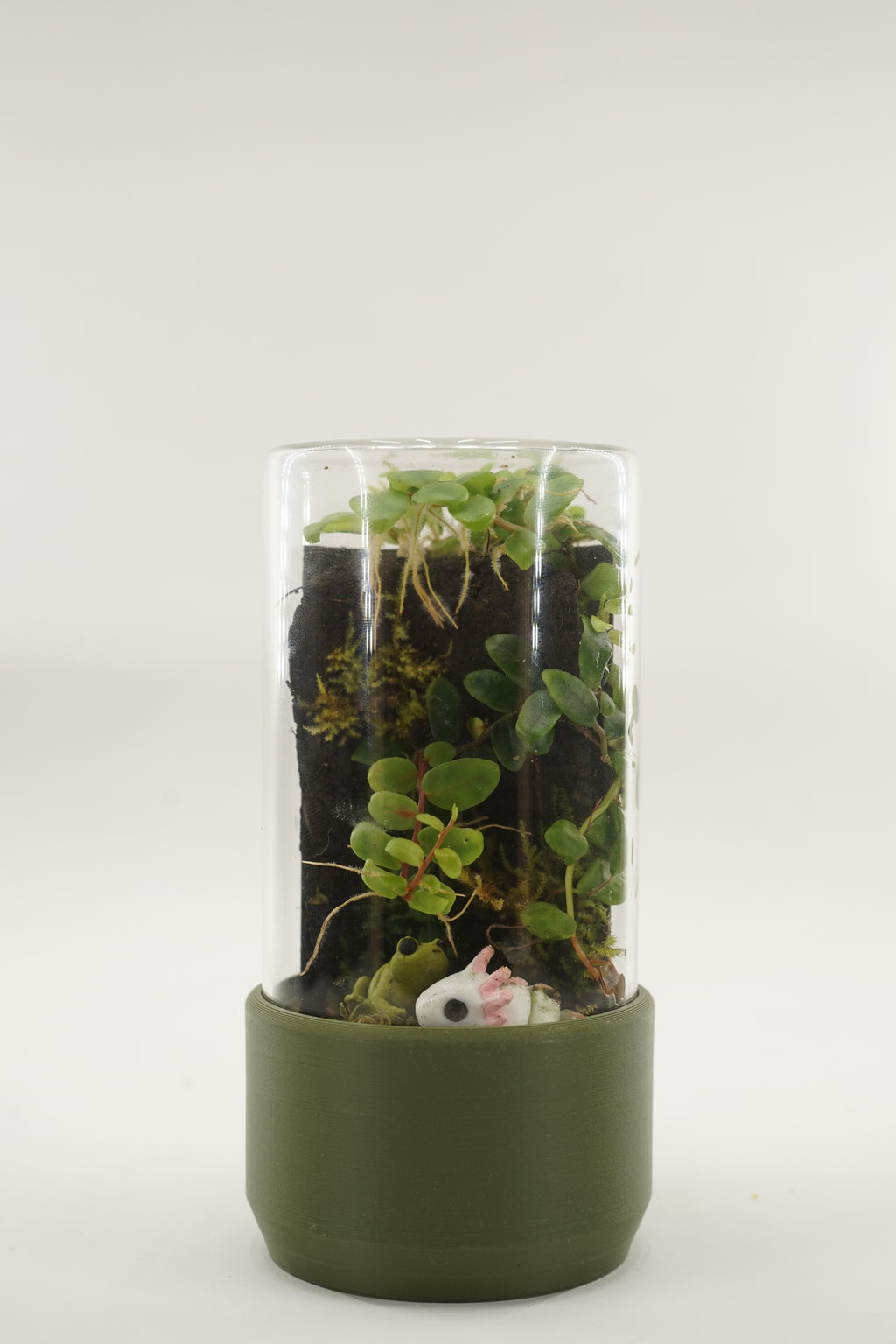 Komori | Small terrarium pot