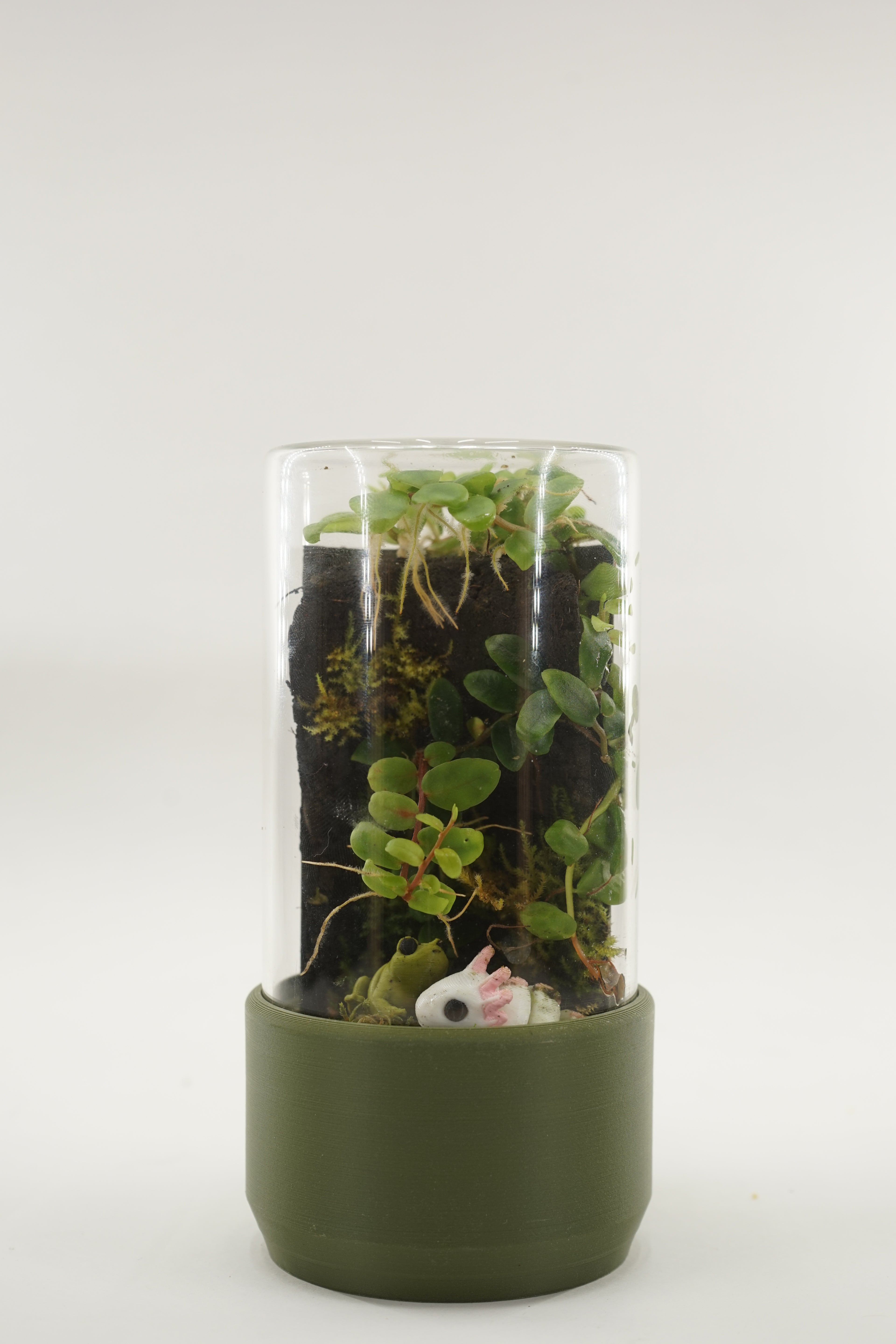 Komori | Small terrarium pot