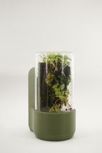 Komori | Small terrarium pot