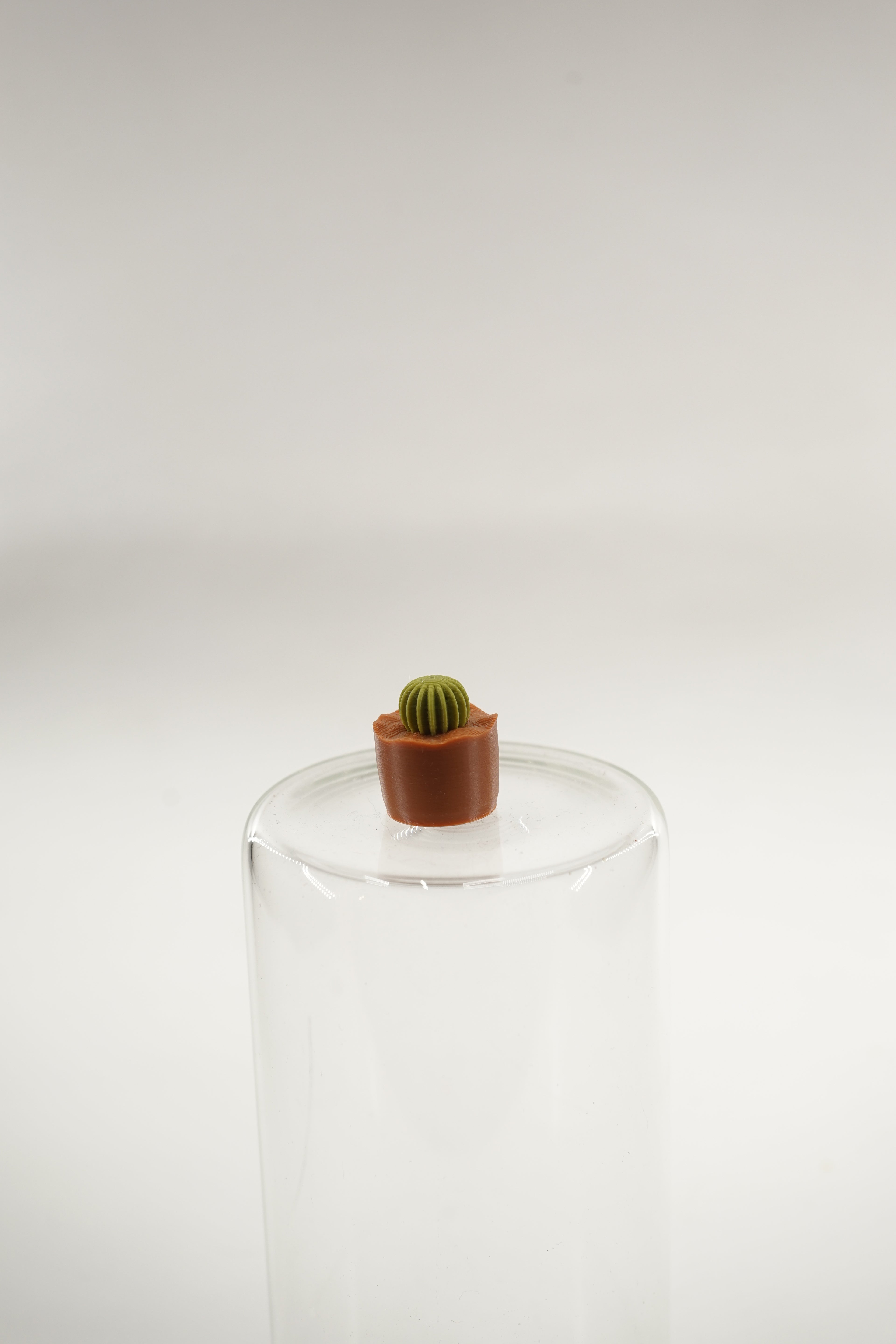 Barrel Plant | Plants fridge magnet