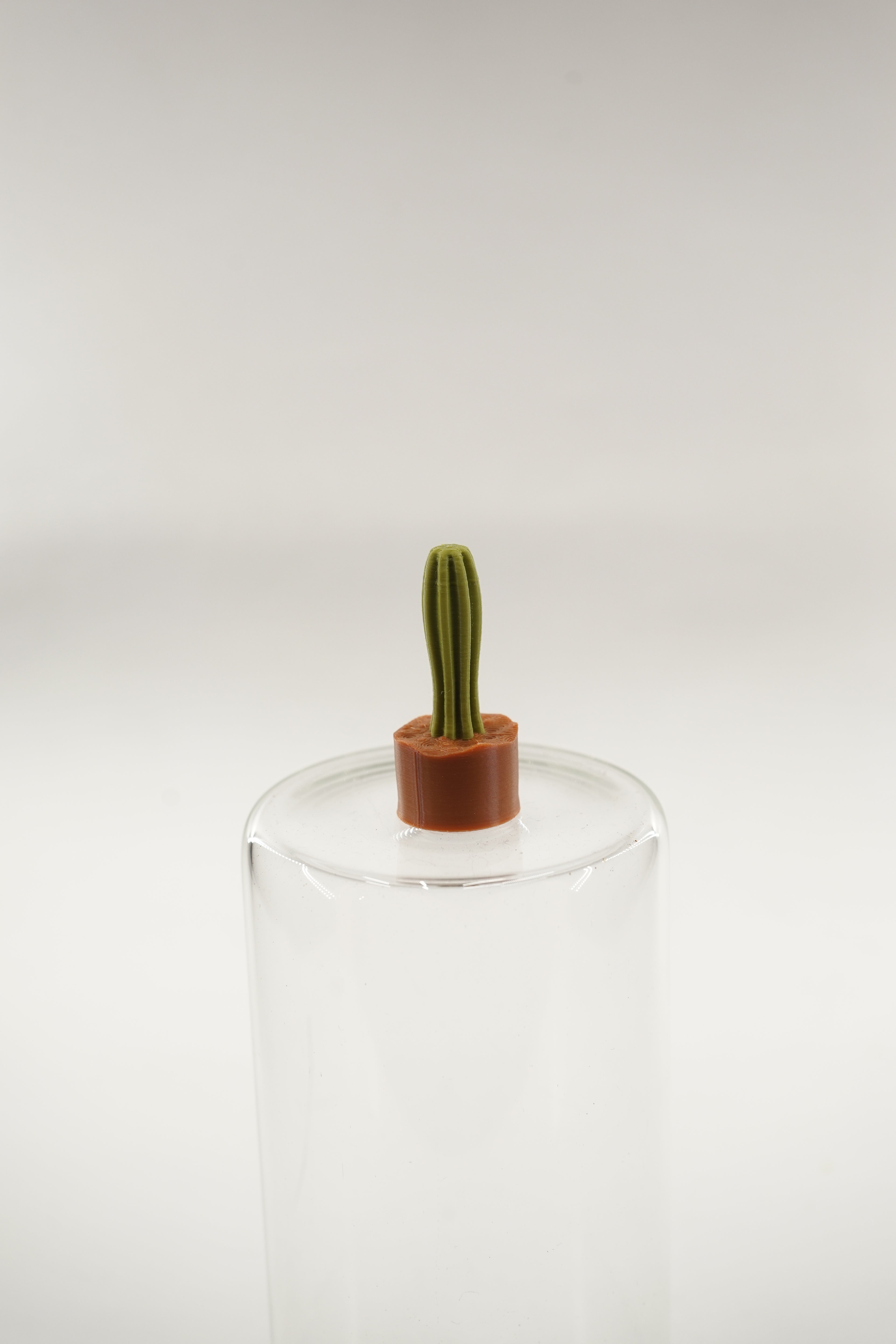 Saguaro Plant | Plants fridge magnet