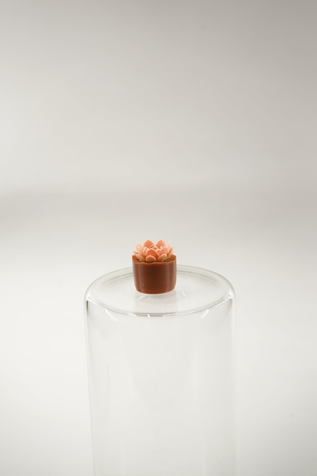 Echeveria Plant | Plants fridge magnet