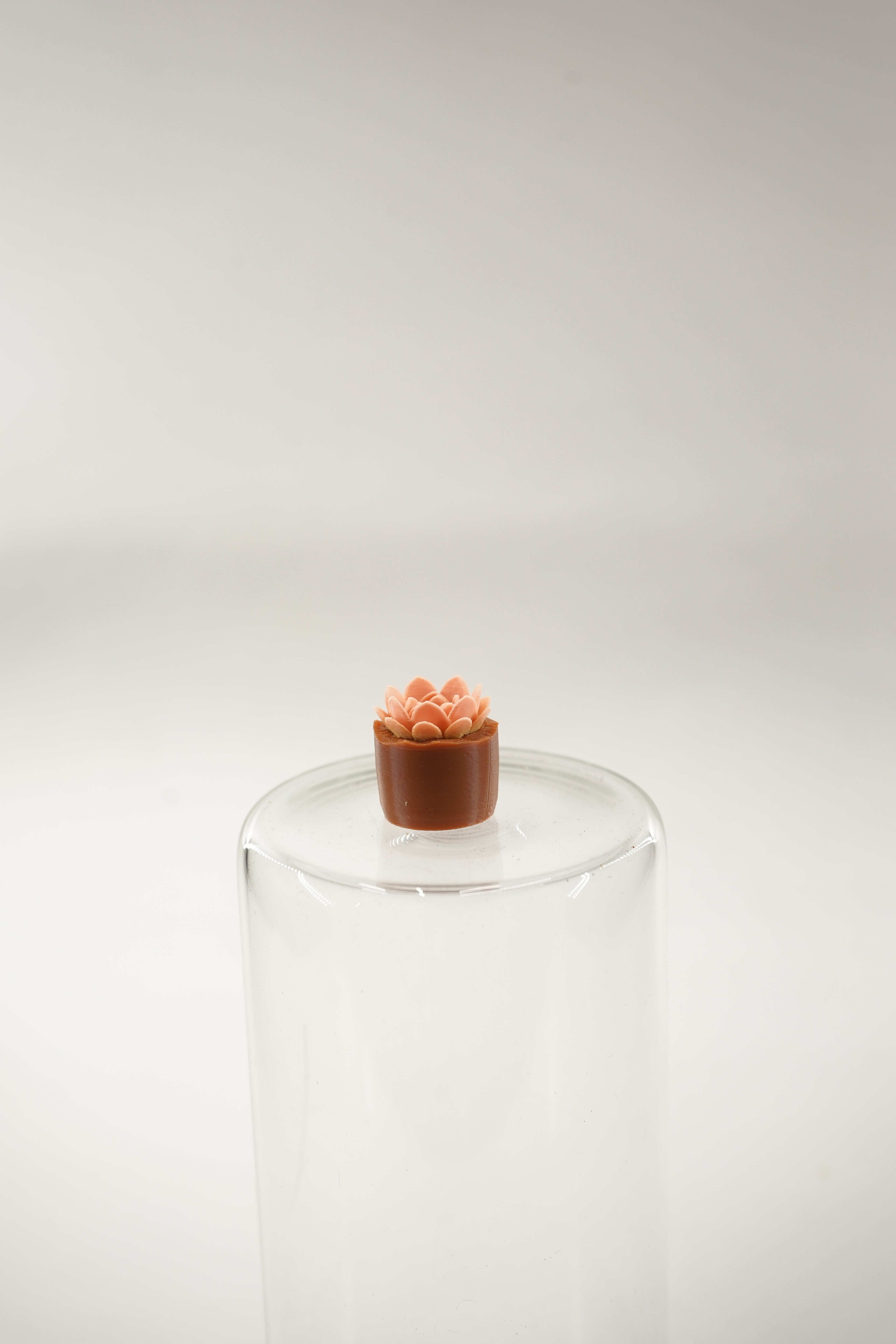 Echeveria Plant | Plants fridge magnet