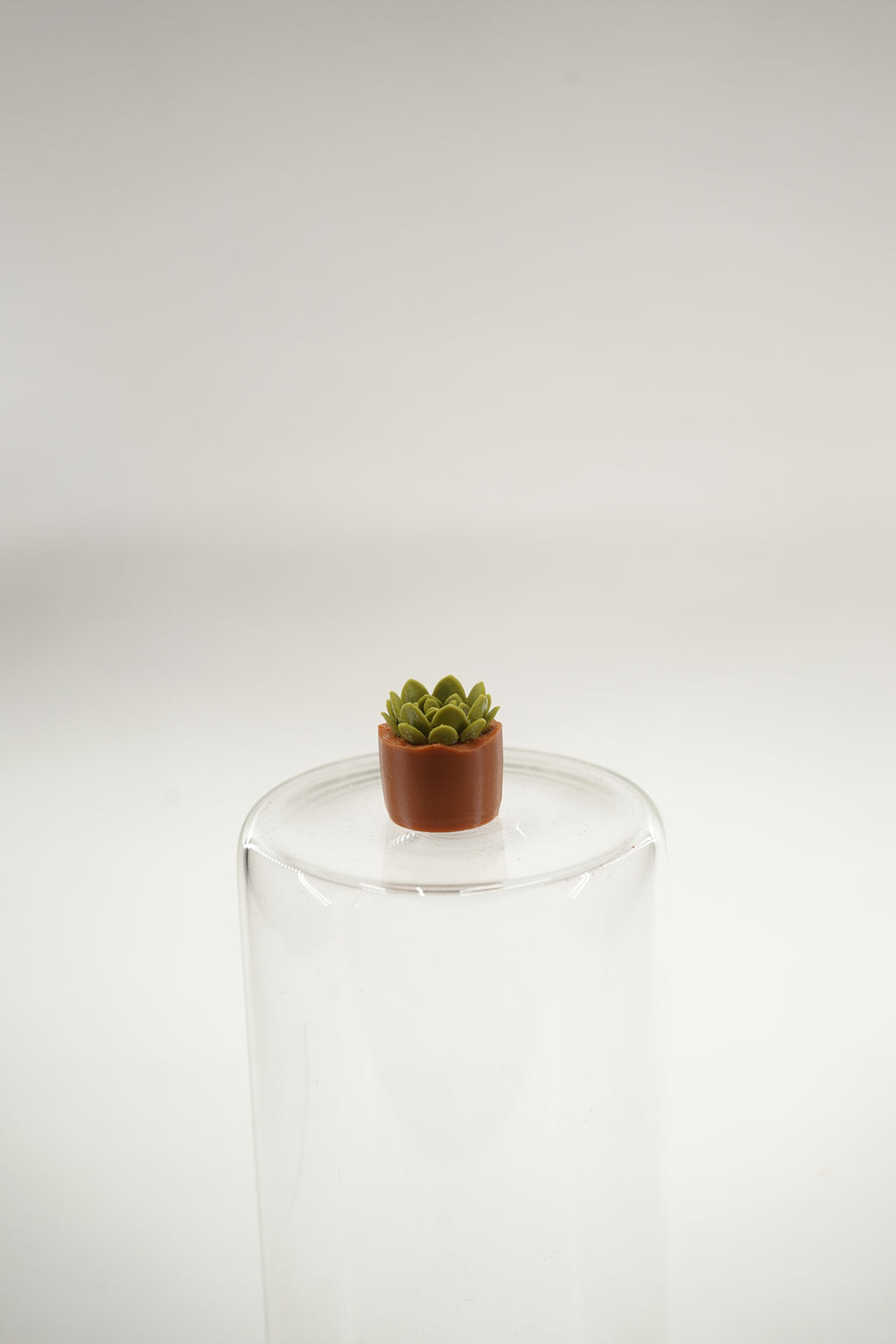 Echeveria Plant | Plants fridge magnet