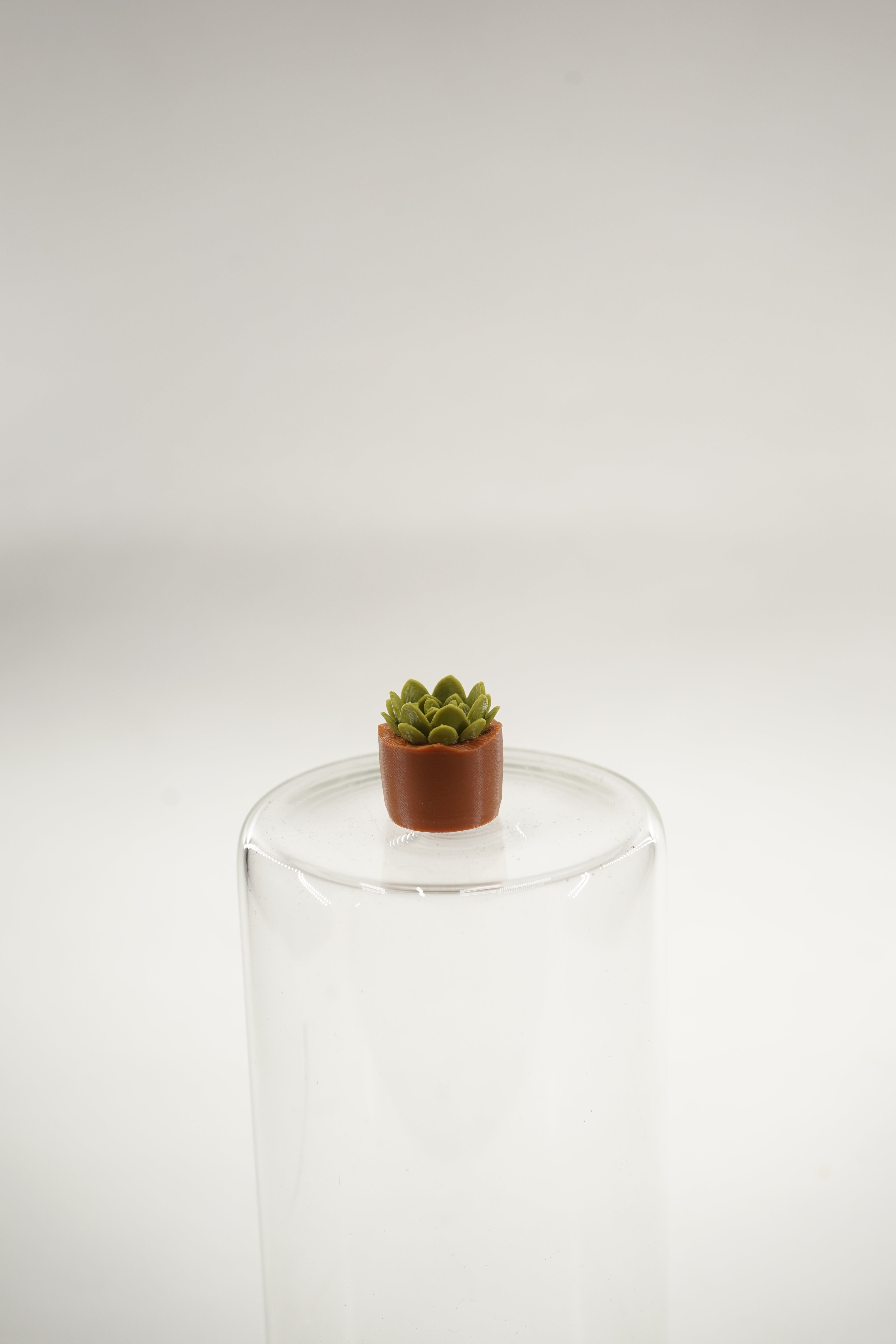 Echeveria Plant | Plants fridge magnet