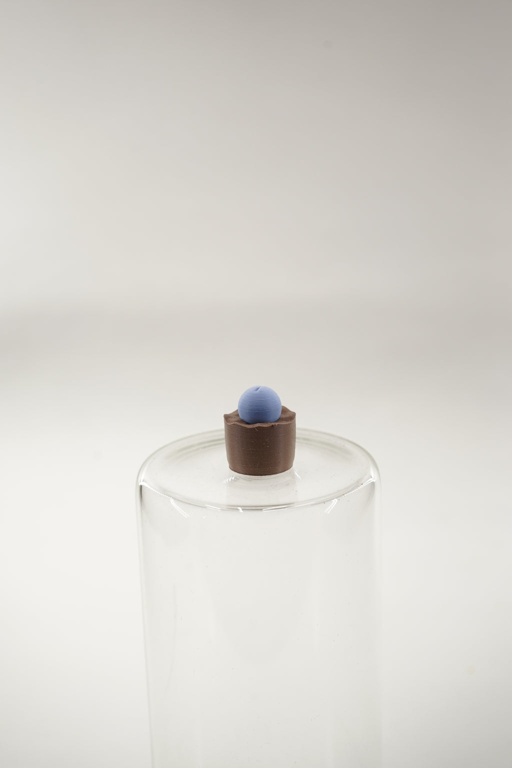 Conophytum Plant | Plants fridge magnet