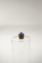 Conophytum Plant | Plants fridge magnet