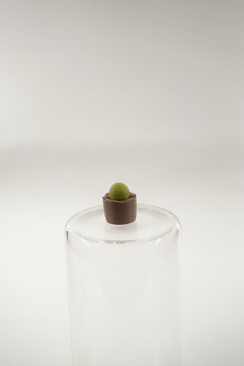 Conophytum Plant | Plants fridge magnet