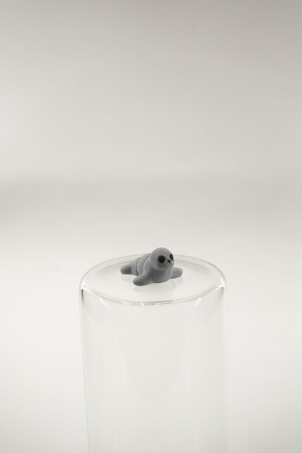 Seal wigget