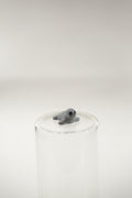 Seal wigget
