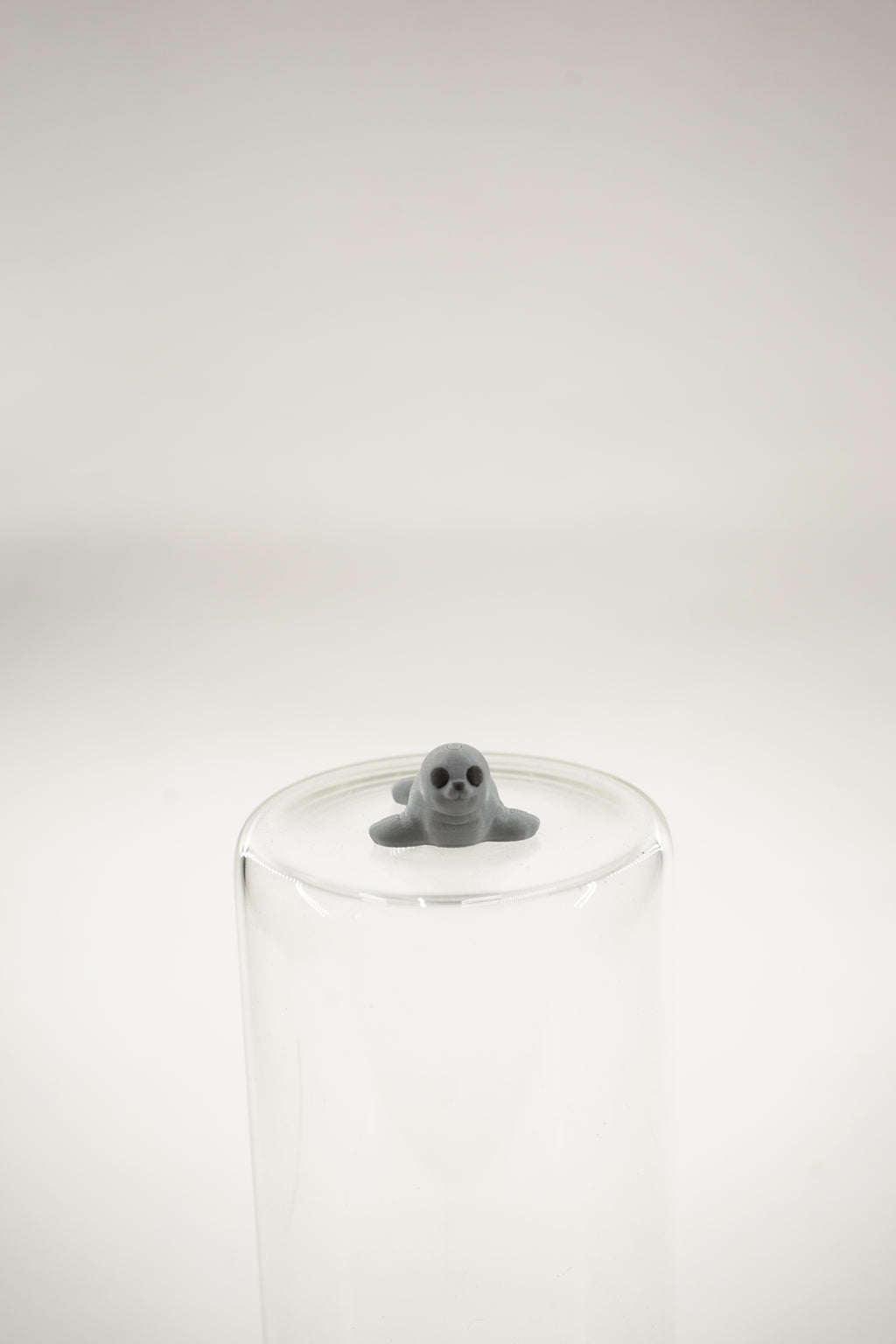 Seal wigget