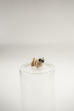 Pug wigget