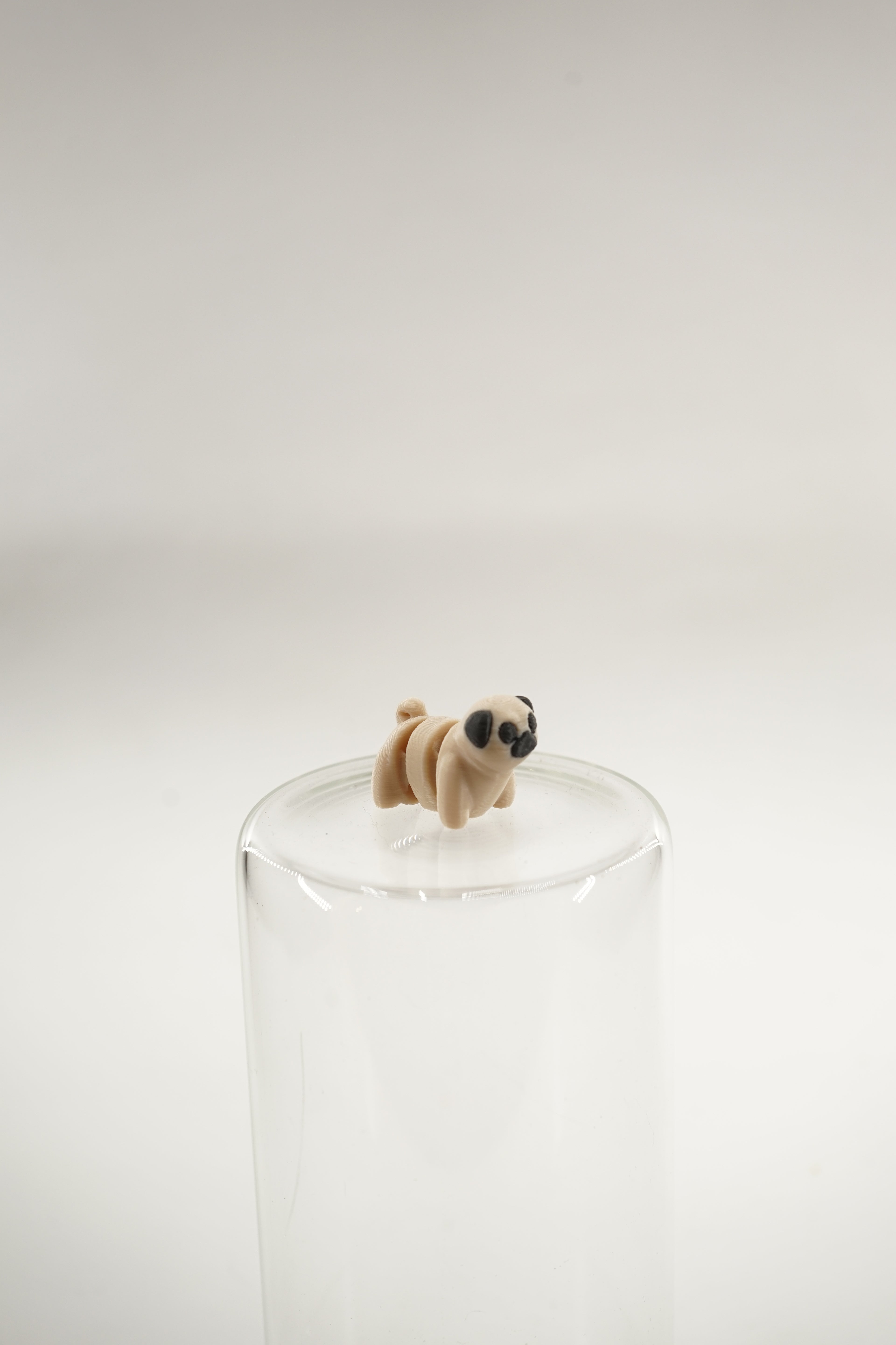 Pug wigget