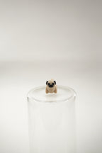 Pug wigget