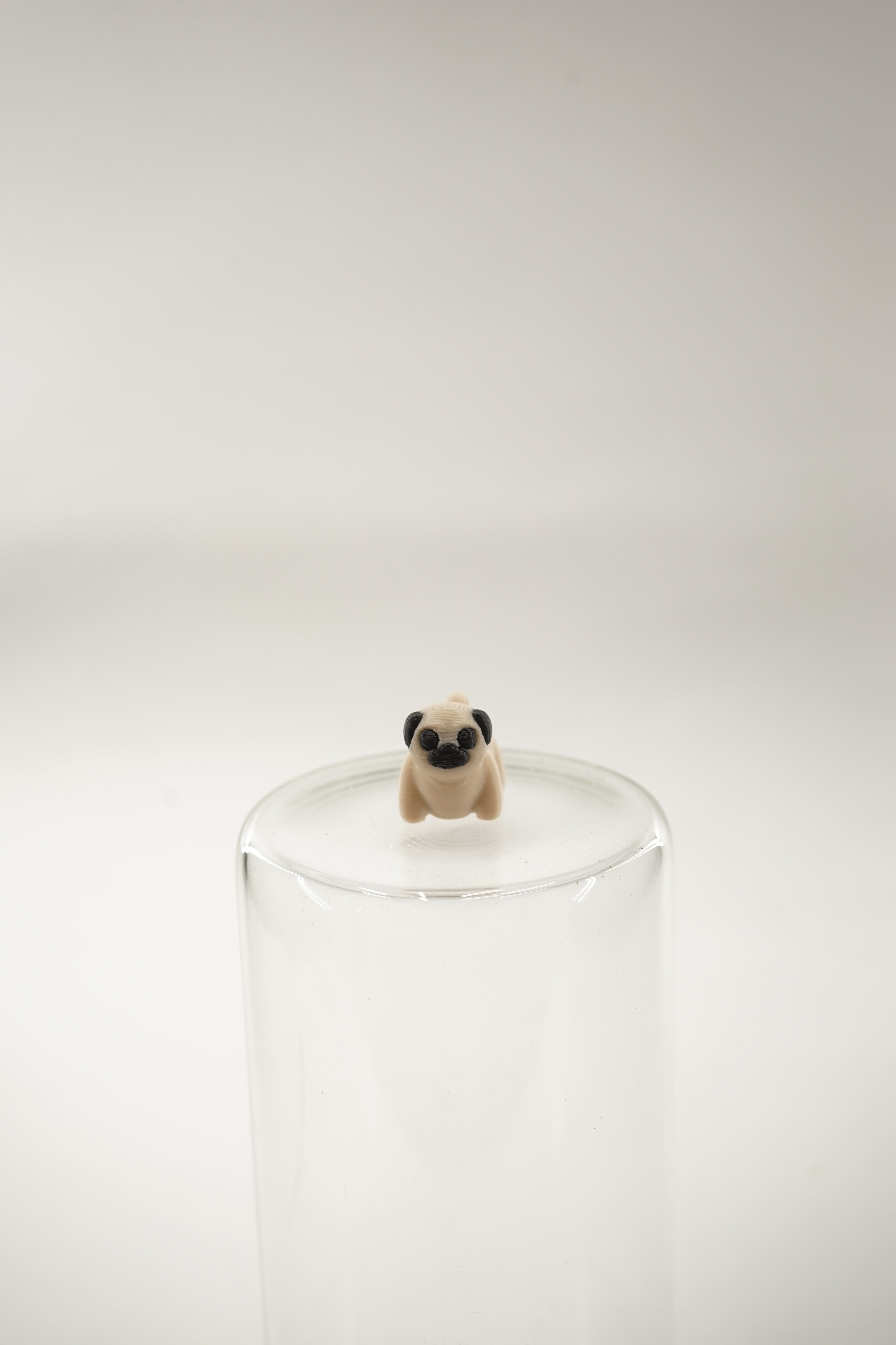 Pug wigget