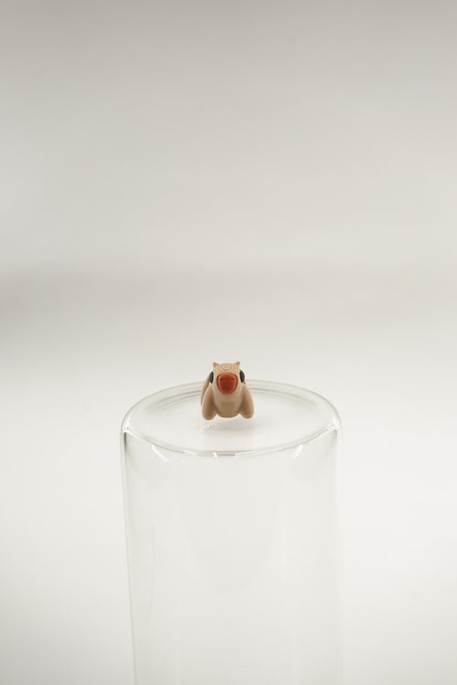 Capybara wigget