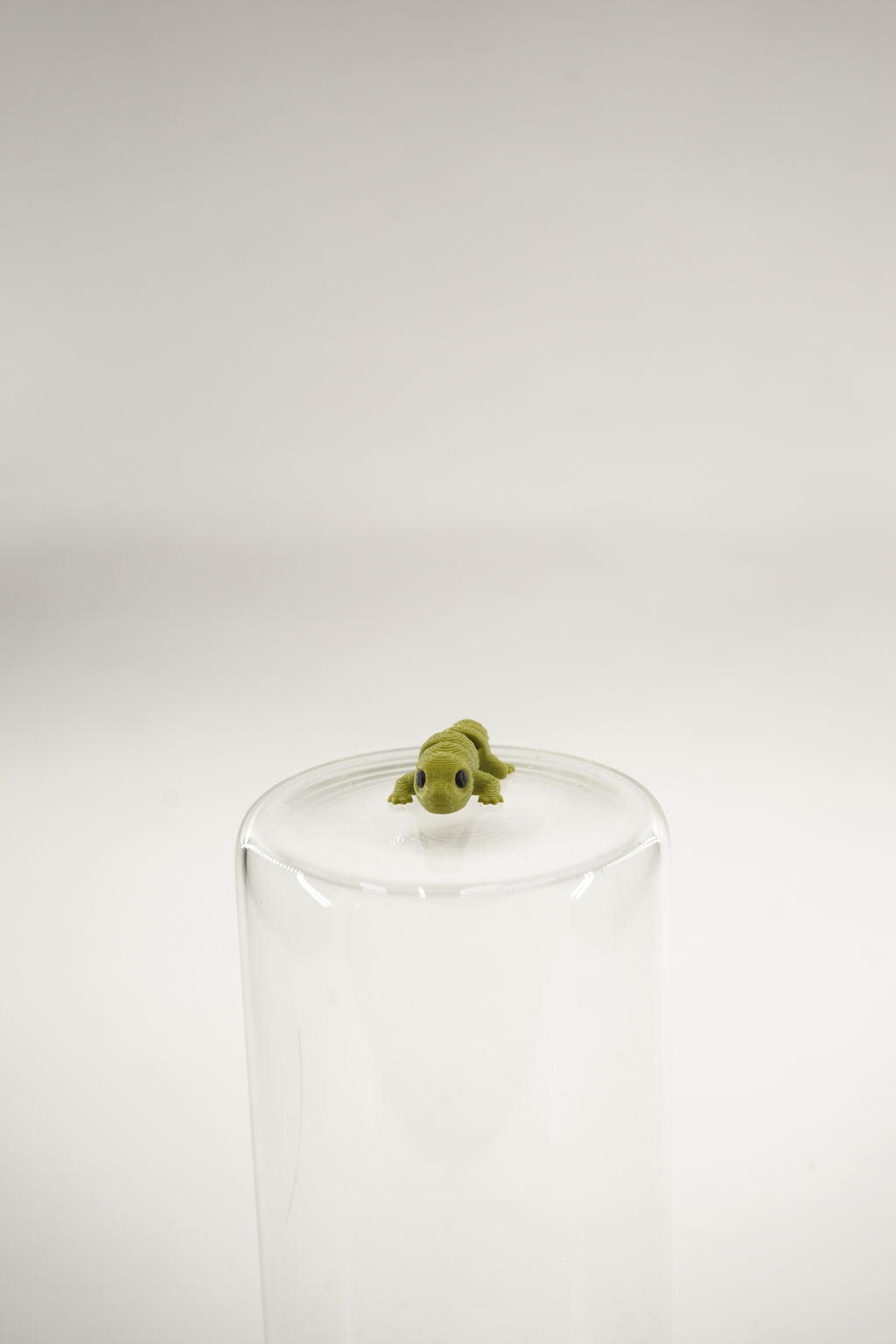 Leopard Gecko wigget