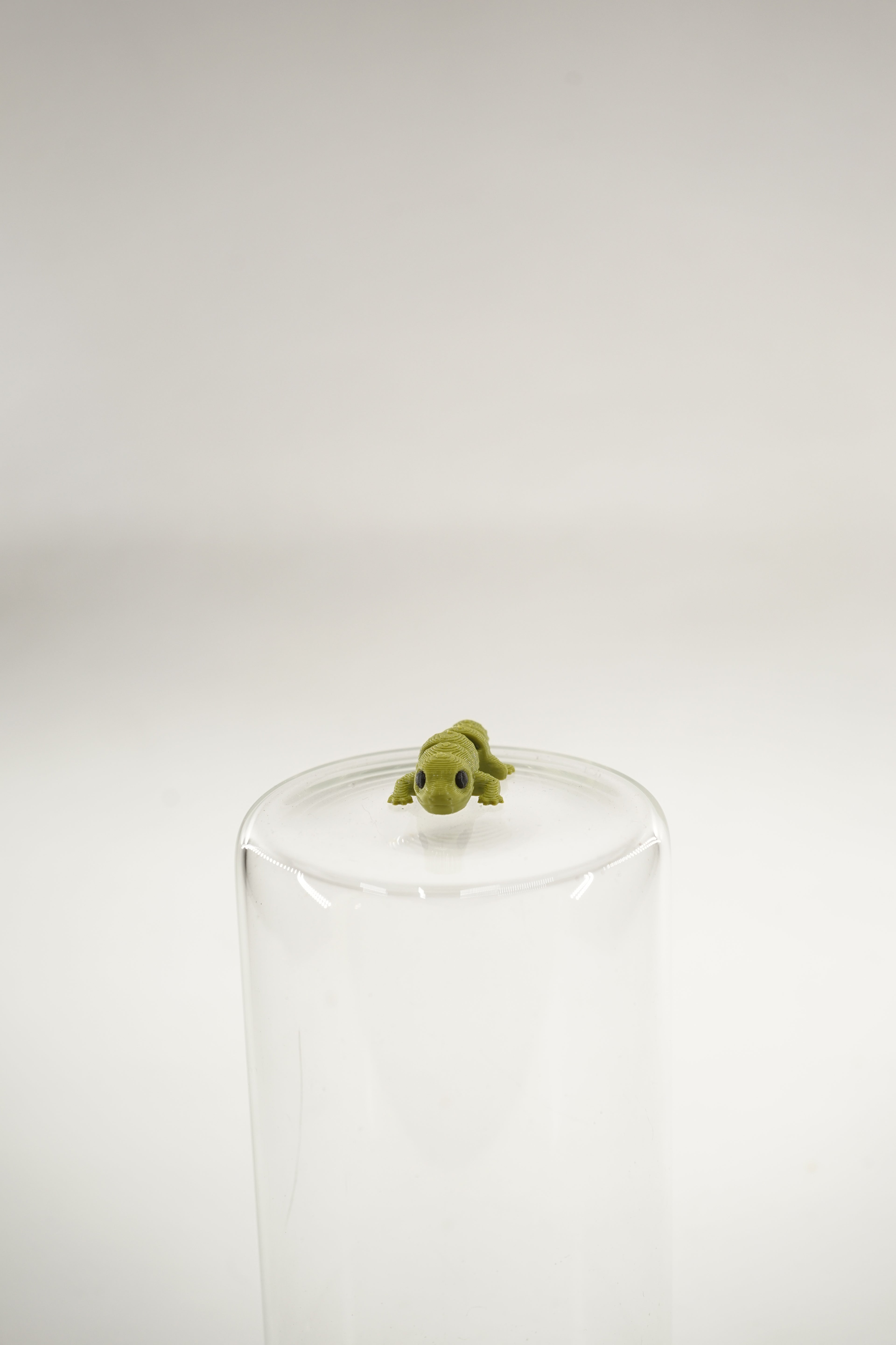 Leopard Gecko wigget