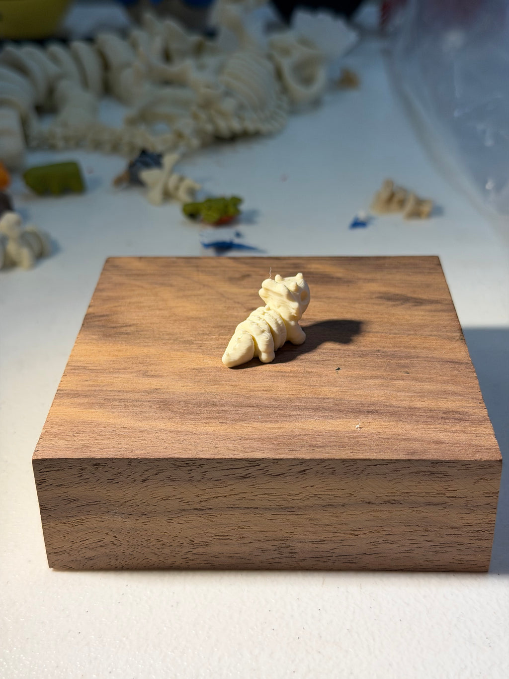 Triceratops fossil wigget
