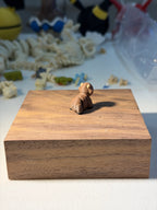 Highland cow wigget