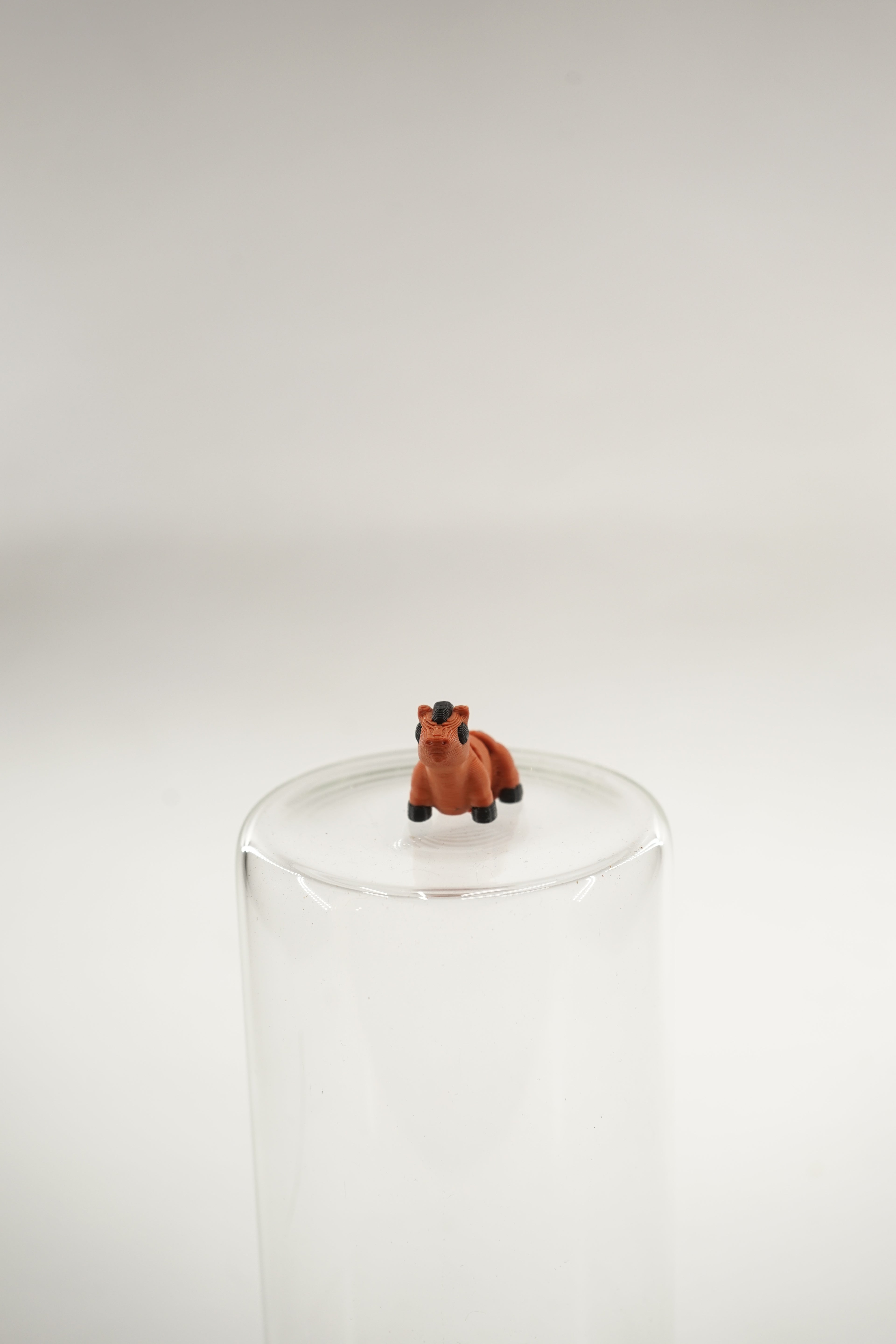 Horse wigget