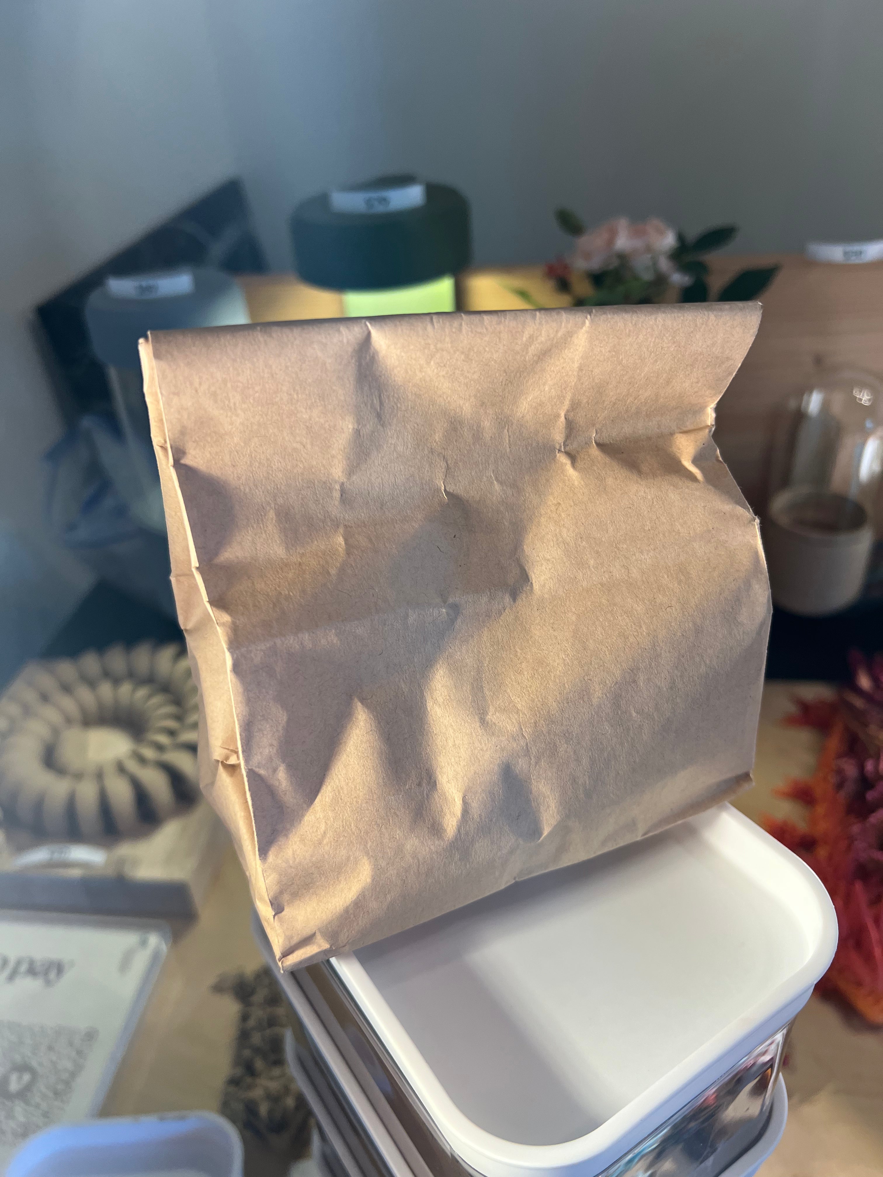 Calcium rich Clay | Springtails culture