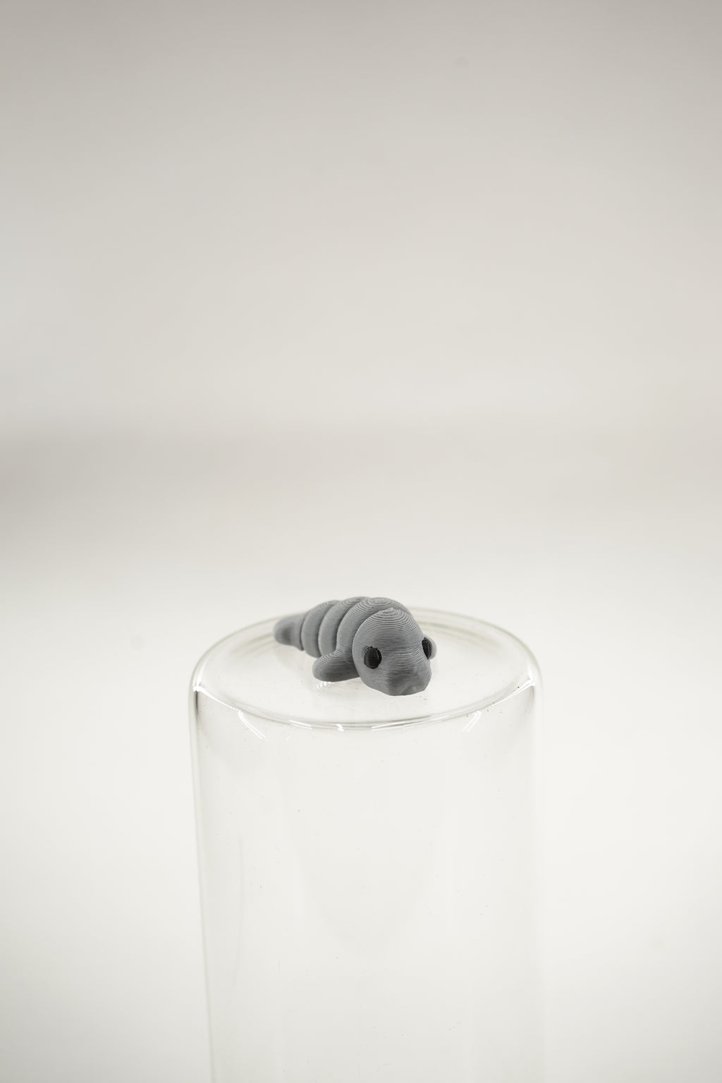 Manatee wigget