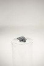 Manatee wigget