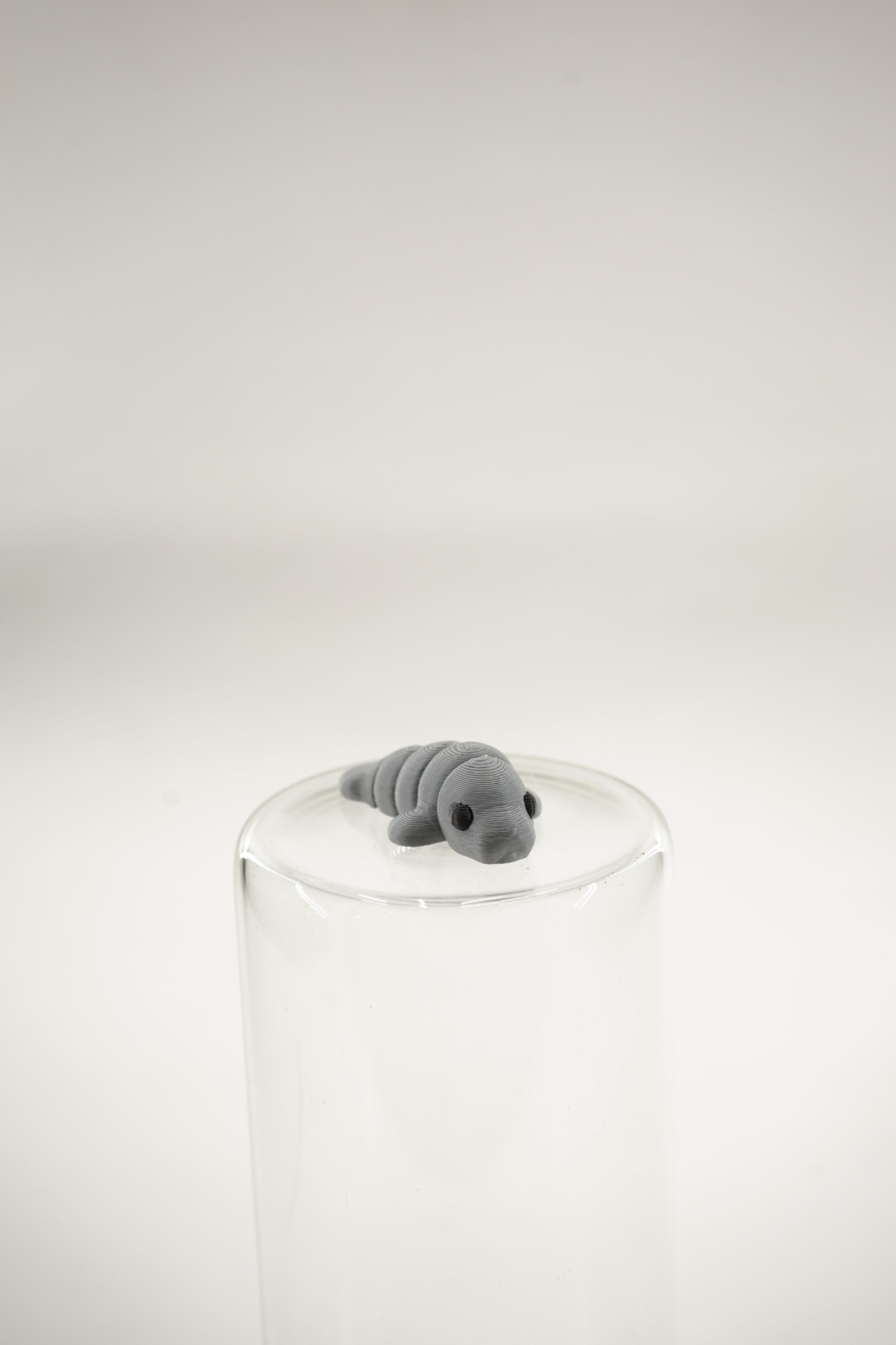 Manatee wigget