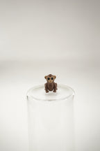 Monkey wigget