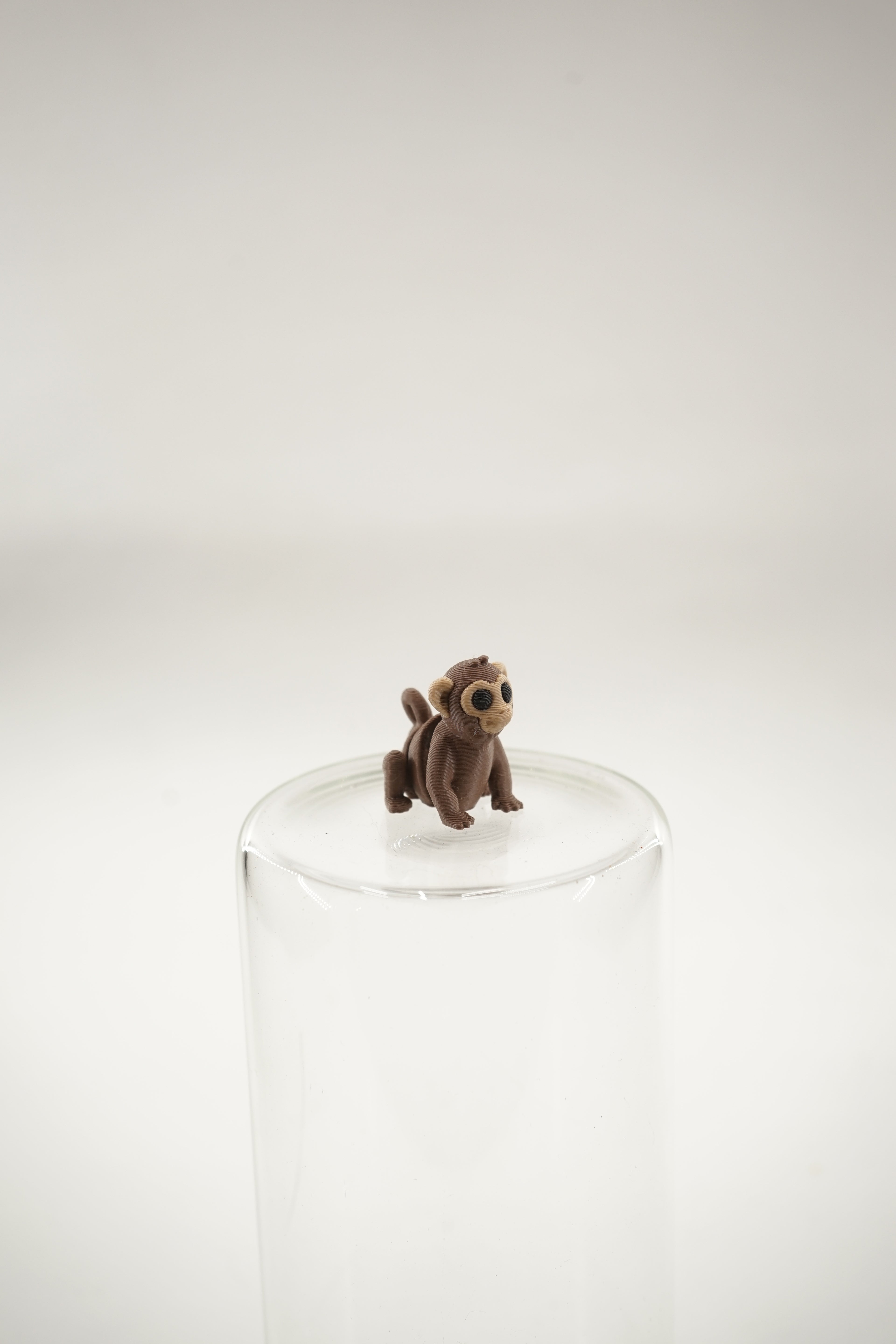 Monkey wigget
